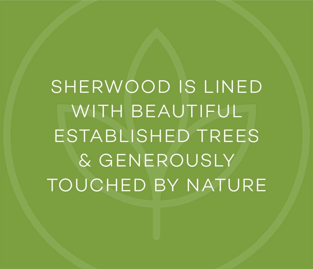 Sherwood is lined with beautiful established tress and generously touched by nature.